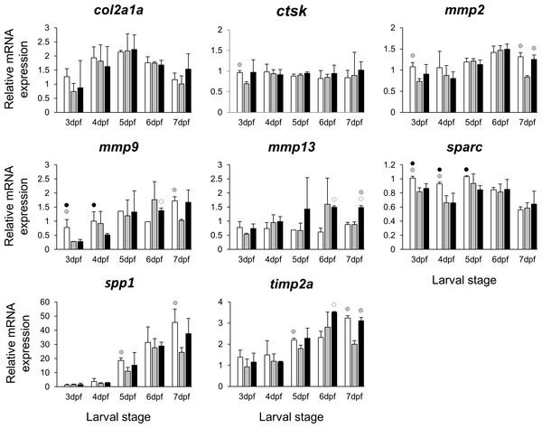 Expression differences of eight potential targets of estrogen pathway involved in skeletal ECM formation examined during zebrafish larval head development across control and E2 treated groups.
