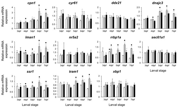 Expression differences of esr1 coexpressed genes in developing heads of zebrafish larvae across control and E2 treated groups.