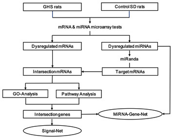 Integrative microRNA-gene expression network analysis in genetic ...