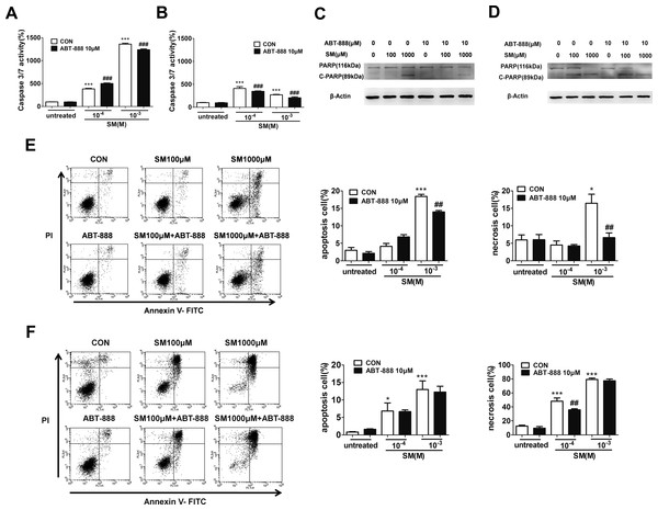 The effects of the PARP inhibitor ABT-888 on apoptosis/necrosis in SM-treated HaCaT cells.