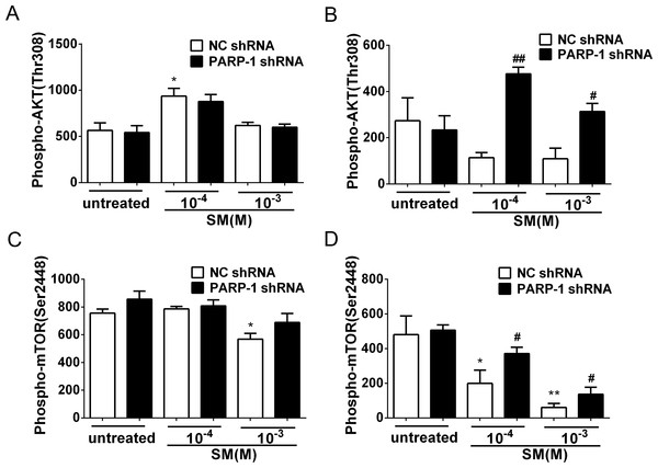 SM-induced suppression of Akt/mTOR signaling could be reversed by silencing PARP-1.