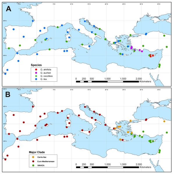 Plastid haplotype variation in Mediterranean members of Quercus Group Ilex.