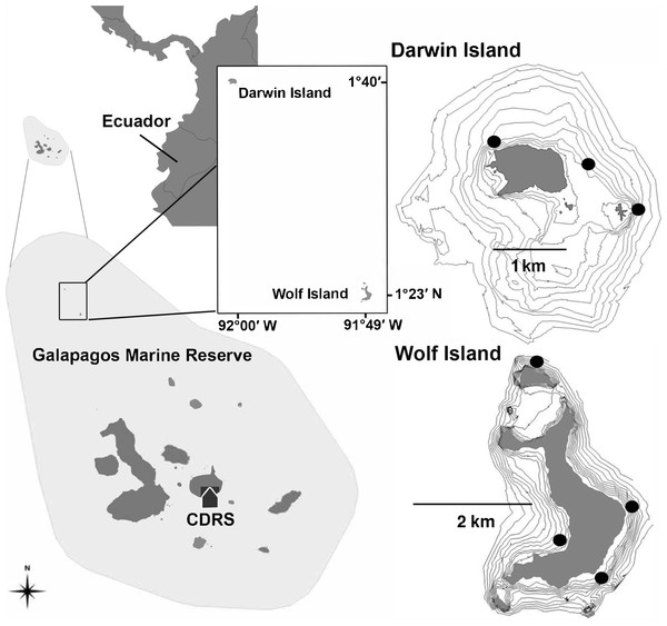 Location of Darwin and Wolf Islands within the Galapagos Marine Reserve, which encompasses the waters 40 nautical miles around the islands.