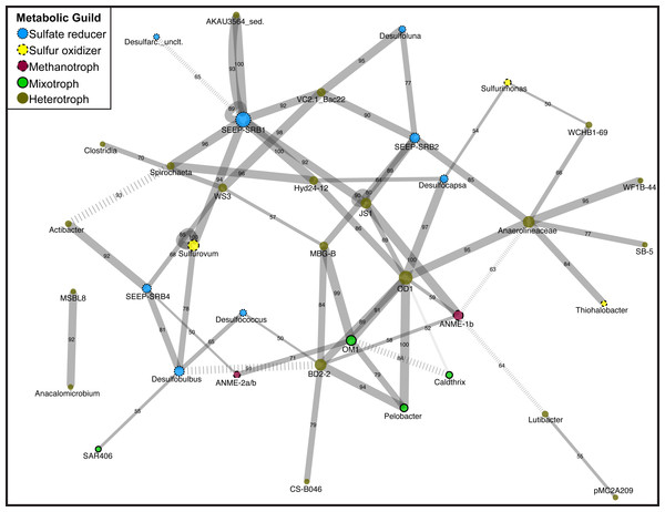 Network diagram of Magneto-FISH and bulk sediment samples.