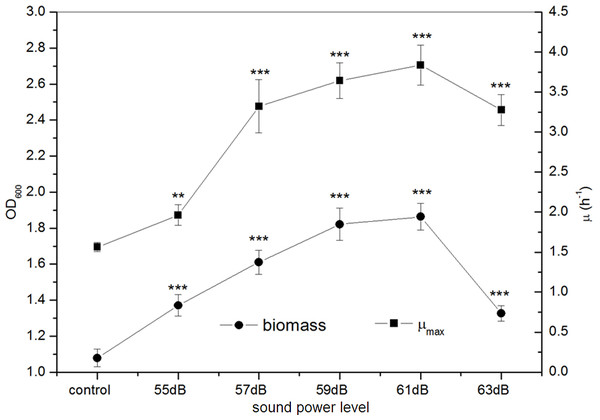 Effects of sound power level on the growth of E. coli K-12.