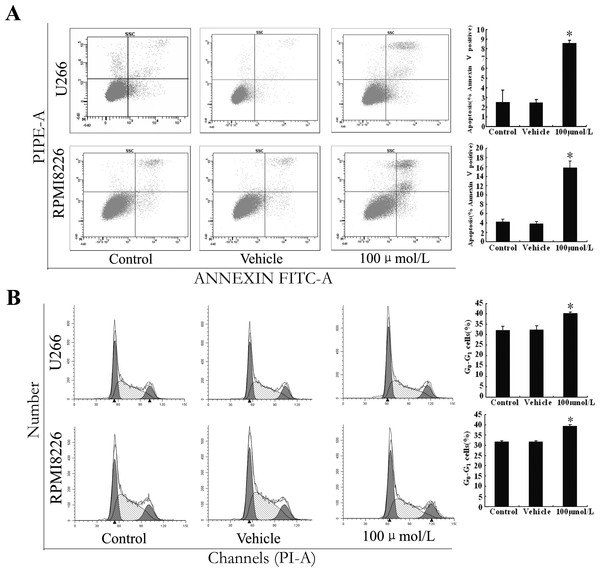 Epoxygenase inhibitor 17-ODYA enhances MM cell apoptosis and induces cell arrest at G0/G1 phase.