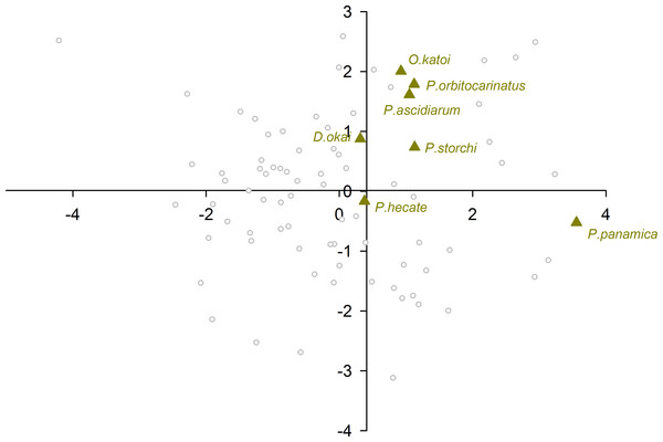 Morphological variation demonstrated by the DFA scores (first and second root only) of Ascidiacea associates.
