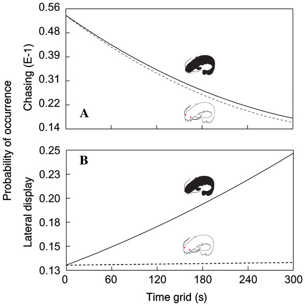 Probability of chasing (A) and lateral display (B) as a function of time across the two treatments.