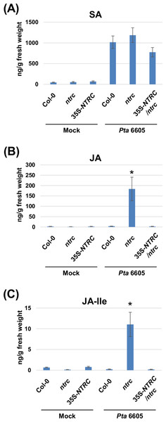 Quantification of phytohormones including salicylic acid (SA; A), jasmonic acid (JA; B), and jasmonoyl-L-isoleucine (JA-Ile; C) in the Arabidopsis wild-type (Col-0), ntrc mutant, and its complemented line (35S-NTRC/ntrc).
