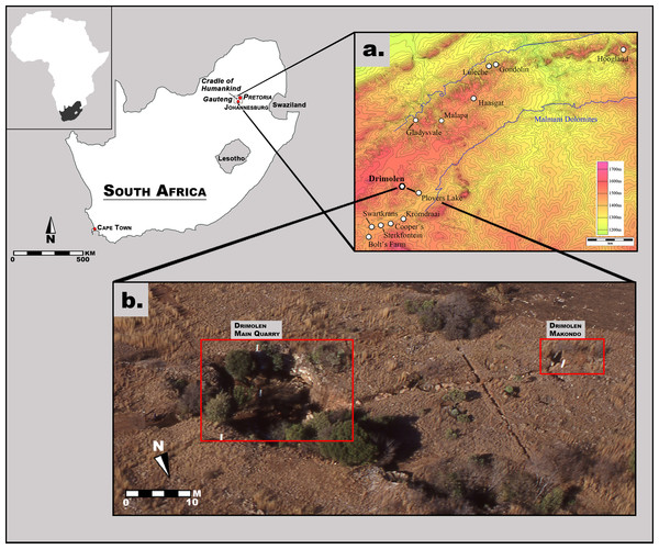 Aerial photograph and map of the Drimolen Palaeocave System relative to other penecontemporaneous South African fossil sites.