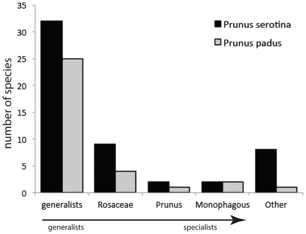 Numbers of species from different categories of generalist and specialist insect herbivores sampled from Prunus padus and Prunus serotina.