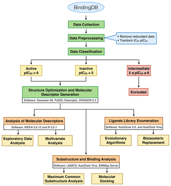 Schematic workflow of this study.