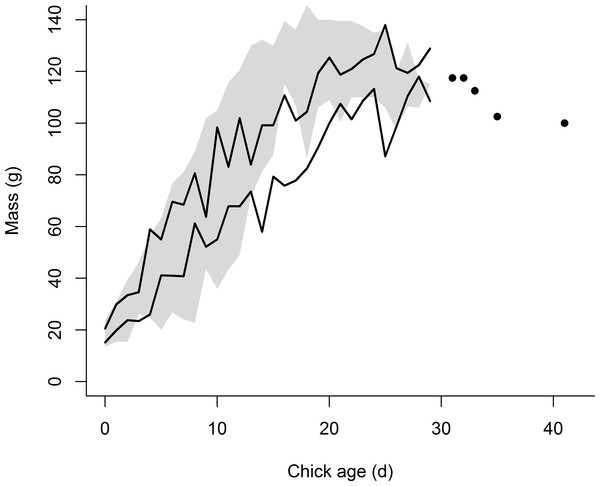 Growth in mass of the eight chicks exhibiting premature feather loss [PFL] (black lines = 95% confidence intervals) superimposed over the range of mass development for normal chicks in 2014 (n = 159 chicks, grey shading = area between 95% confidence intervals).