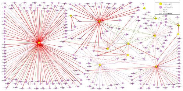 The interaction network of SlyHSF genes according to the networks in Arabidopsis.