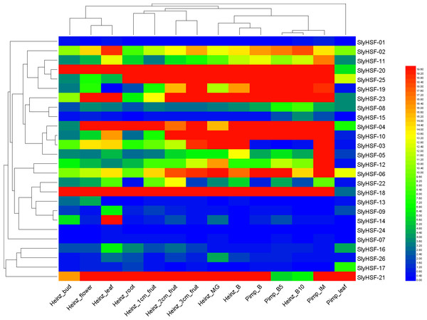Heat map representation and hierarchical clustering of tomato SlyHSF genes in fourteen samples from root, leaf, bud, flower and fruits in several development stage.