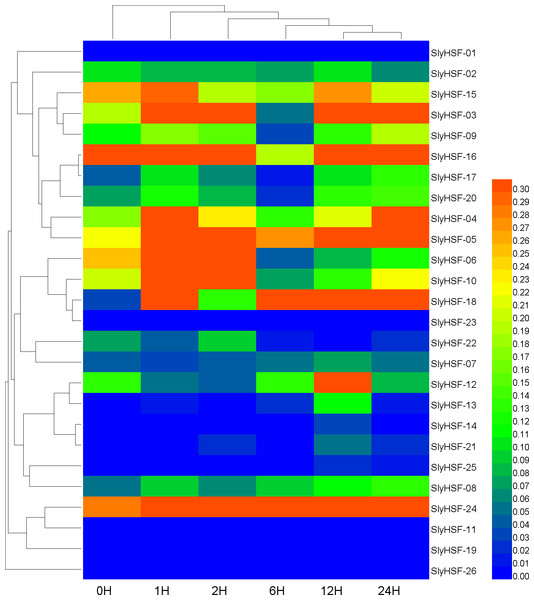 Hierarchical clustering and heat map representation of HSF genes after heat stress treatment.