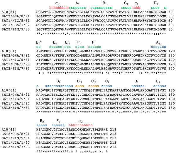Amino acid sequence alignment of A1061 3Cpro with the 3C proteases from the four SAT serotypes used in this study.