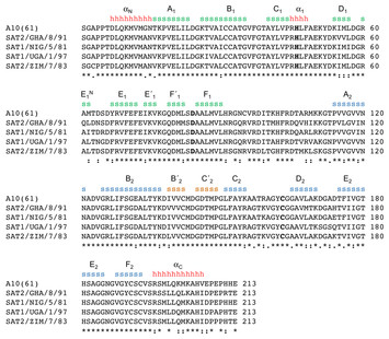 Crystal structure of the 3C protease from Southern African Territories ...