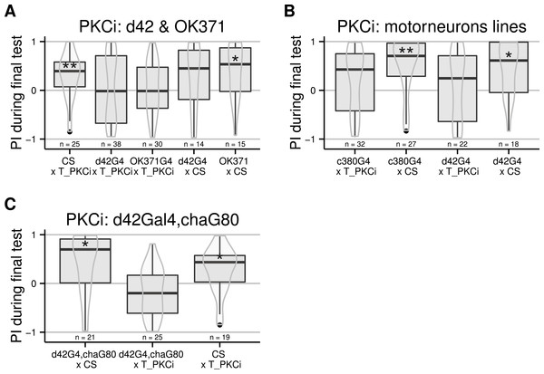 Flies with PKCi expression in motorneurons, are impaired in self-learning.