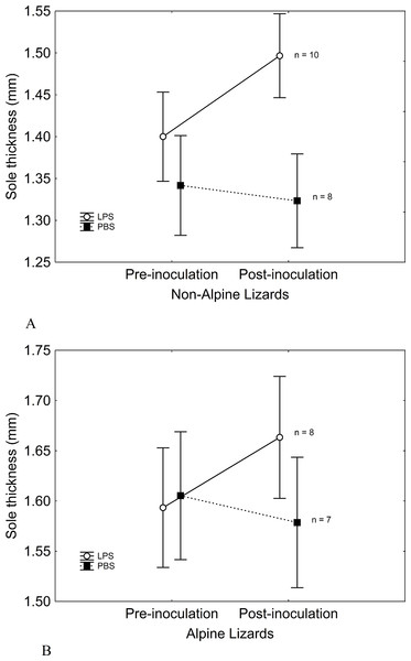 Sole-pad thickness was similar in both LPS and PBS-inoculated lizards.