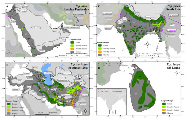 Leopard range and subspecies delineation across the Middle East and Asia.