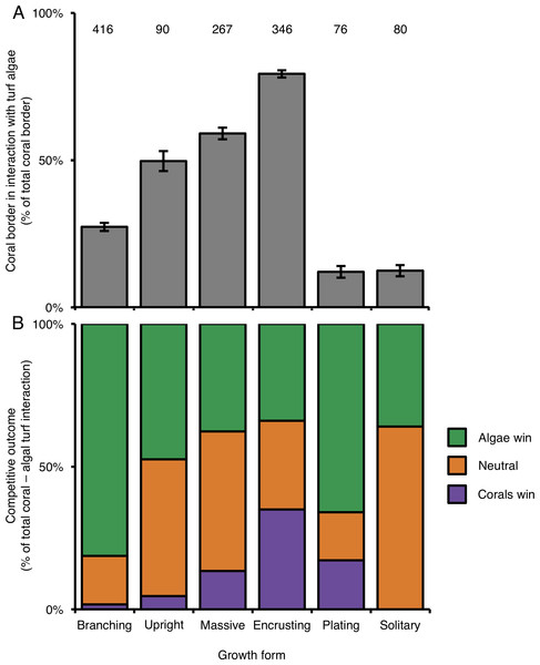 Competitive interactions between corals and algae per coral colony growth form.
