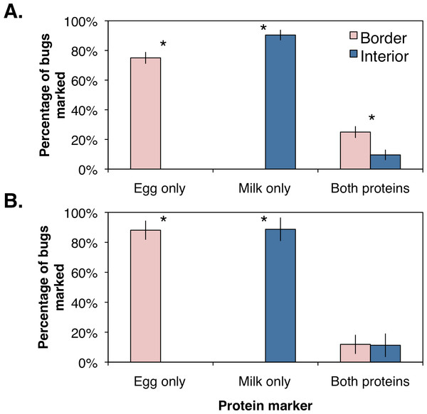 Mean (±SEM) percentage of H. halys adults per sampling site marked positive with egg white, milk, or both protein marker solutions compared from between orchard border and interior with an ANOVA for (A) female and (B) male bugs.