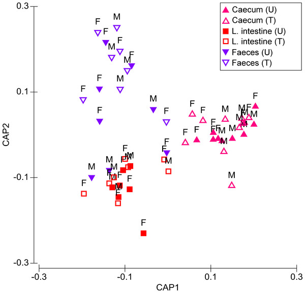 Canonical analysis of principal coordinates (CAP) biplot showing a constrained by origin, non-dimensional ordination of microbial community across all factors.