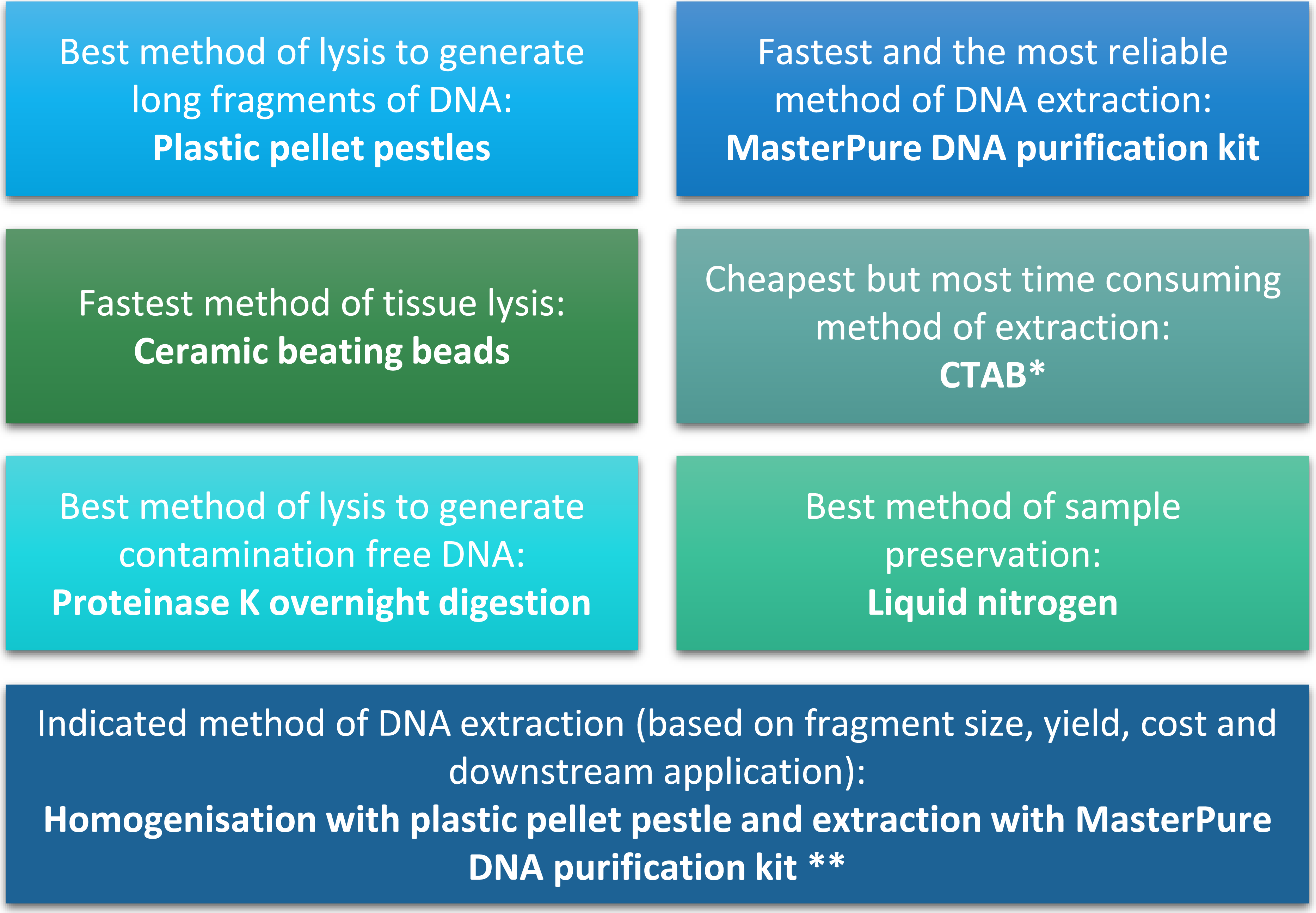 dna extraction conclusion