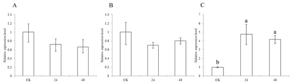 Expression of sorghum CCR genes in CK and the pest treatment at different times.