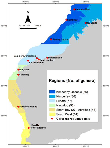 Regions in which the composition of coral reefs and the proposed patterns of coral reproduction differ most significantly across Western Australia.