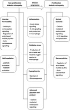 Association of potential salivary biomarkers with diabetic retinopathy ...