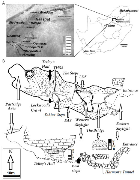 Location and site plan of the Haasgat paleocave system.