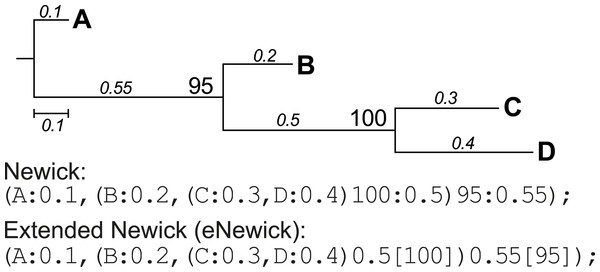 A phylogenetic tree represented in standard and extended Newick formats.
