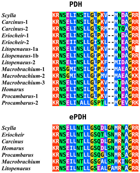 Sequence alignment of PDH and ePDH.