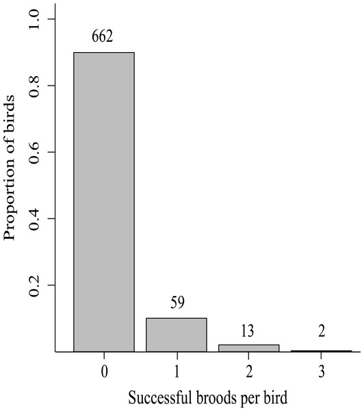 The proportion of successful broods per bird (n subset indicated above bars) produced in the lifetimes of 736 Greenland white-fronted geese marked as first year birds at Wexford, Ireland, 1983–2003.