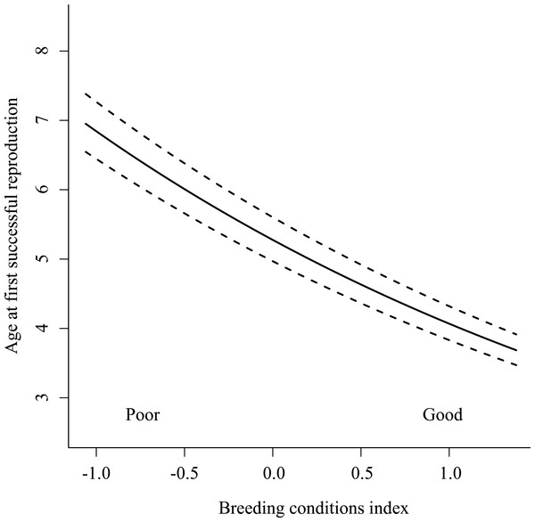 Age at first successful reproduction among Greenland white-fronted geese (1983–2003) as a function of the breeding conditions index (BCI).