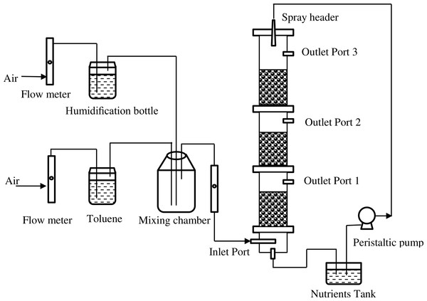 Schematic diagram of the biofilter system.