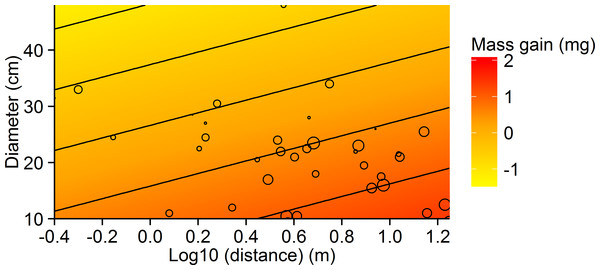 Contour plot showing the relationship between tree diameter, log10 distance and mean mass gain per ant for the small-scale study.