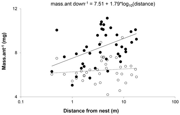 Mean mass per ant walking down (●) and up (○) each of the trees plotted against distance from the nest.