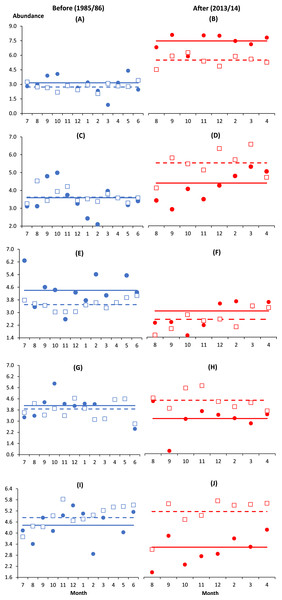 Monthly anomalies of the abundance of five key copepod species (A & B, Oithona simplex; C & D, Oithona attenuata; E & F, Acartia spinicauda; G & H, Subeucalanus subcrassus, I & J, Paracalanus aculeatus) at impacted (filled circles) and control (empty squares) sites in Klang Strait before (A, C, E, G, I) and after (B, D, F, H, J) establishment of Kapar power station.