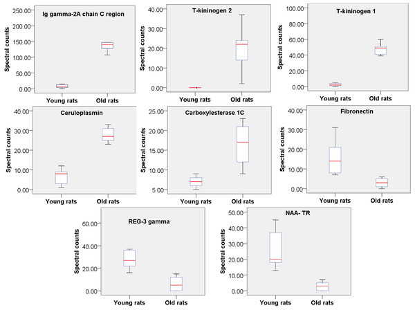 Relative quantitation of 8 urine proteins identified as being related to aging (n = 9 pergroup; P < 0.05 for every protein).