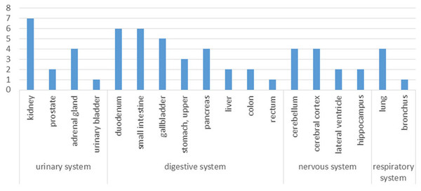 Tissue distribution of the human orthologs of aging-associated rat proteins.