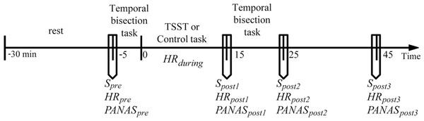 General procedure of the experiment.