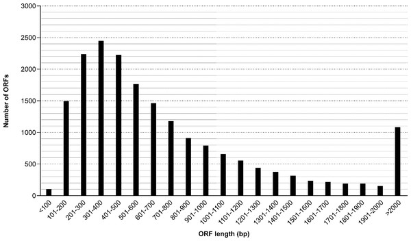 Length distribution of identified ORF (open reading frames) from the M. reevesii transcriptome assembly.