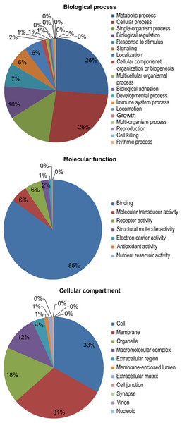 Gene ontology (GO) functional categories of the M. reevesii assembly.