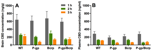 P-gp or Bcrp transporter knockout did not influence CBD brain and plasma concentrations.