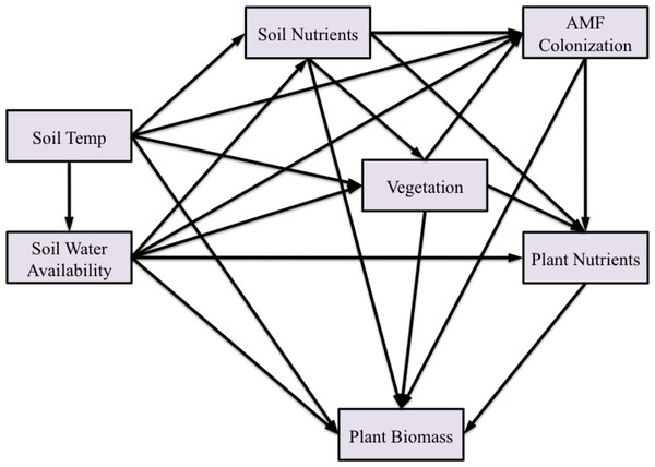 Structural equation model of the effect of temperature on AMF colonization and plant biomass.