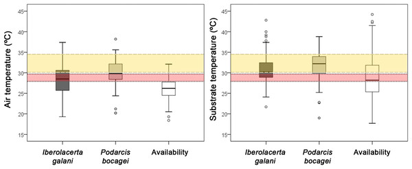 Comparison of the environmental temperatures of the selected microhabitats of both species and the mean availability of the habitat.