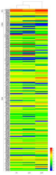 The differential expression patterns of representative TFs in different developmental phases.